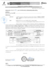 Vista preliminar de documento Oficio Múltiple Nº 377 - 2023