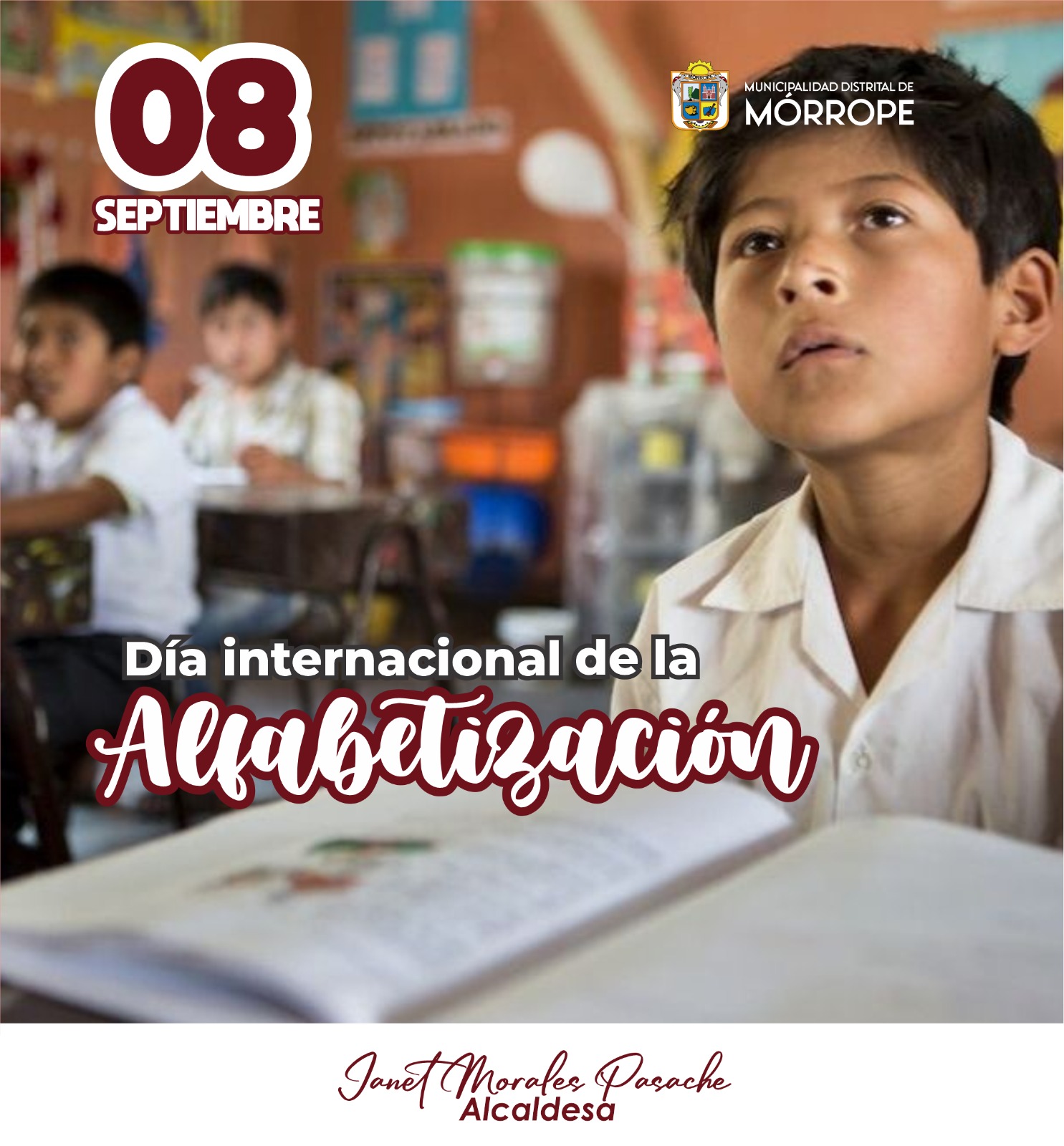 ANALFABETIZACION