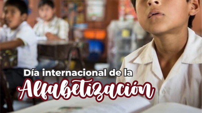 ANALFABETIZACION