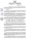 Vista preliminar de documento RESOLUCION DIRECTORAL REGIONAL N° 205-2023-GRU-DRTC