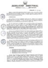 Vista preliminar de documento RESOLUCION DIRECTORAL REGIONAL N° 207-2023-GRU-DRTC