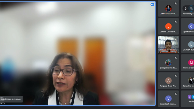 Órgano de Imagen Institucional