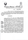 Vista preliminar de documento Resolución Directoral N° 2505-2023-GRSM-DRE-UGEL-SAN-MARTIN