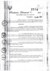 Vista preliminar de documento Resolución Directoral N° 2514-2023-GRSM-DRE-UGEL-SAN-MARTIN