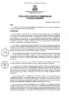 Vista preliminar de documento rga2202021gagmmpmn