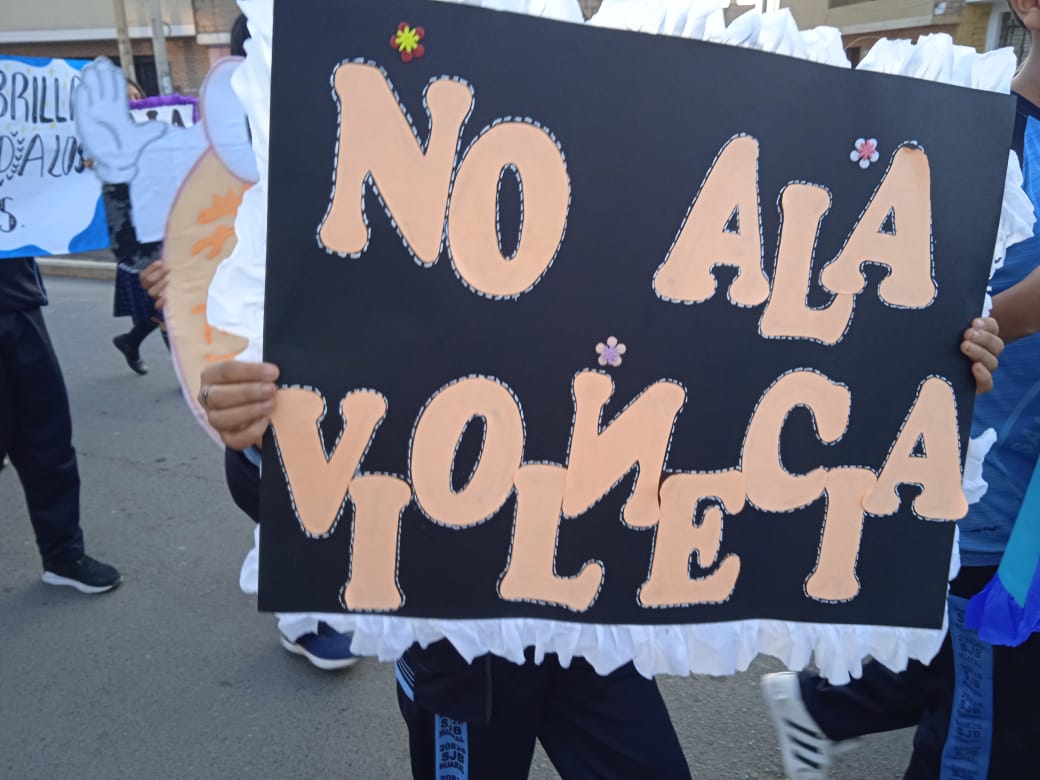 MPH, PNP, serenazgo, juntas vecinales y el CEM se unieron para decirle "No a la Violencia"