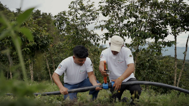 Empresa Cambio Climático