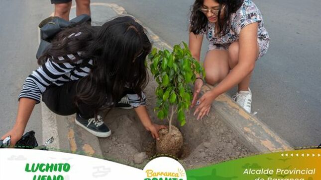 arbol