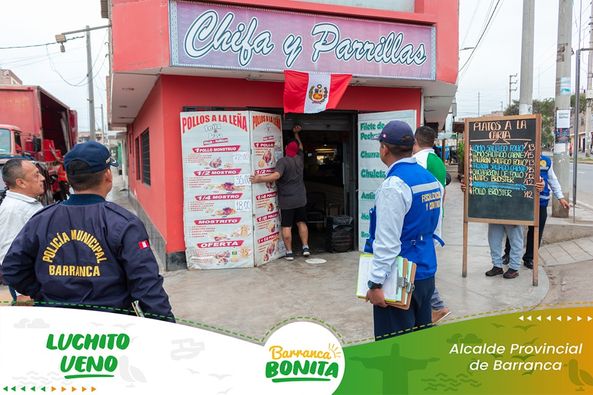 inspección 