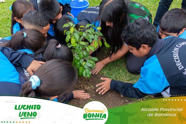 medio ambiente