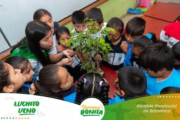 medio ambiente