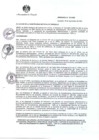 Vista preliminar de documento Ordenanza N° 515-MDS.