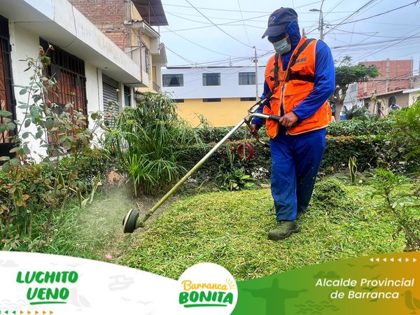 areas verdes