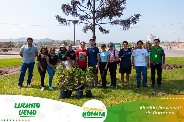 arbol