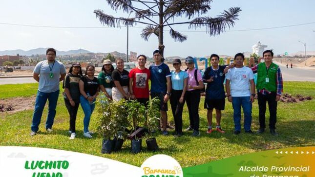 arbol 