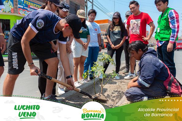 arbol