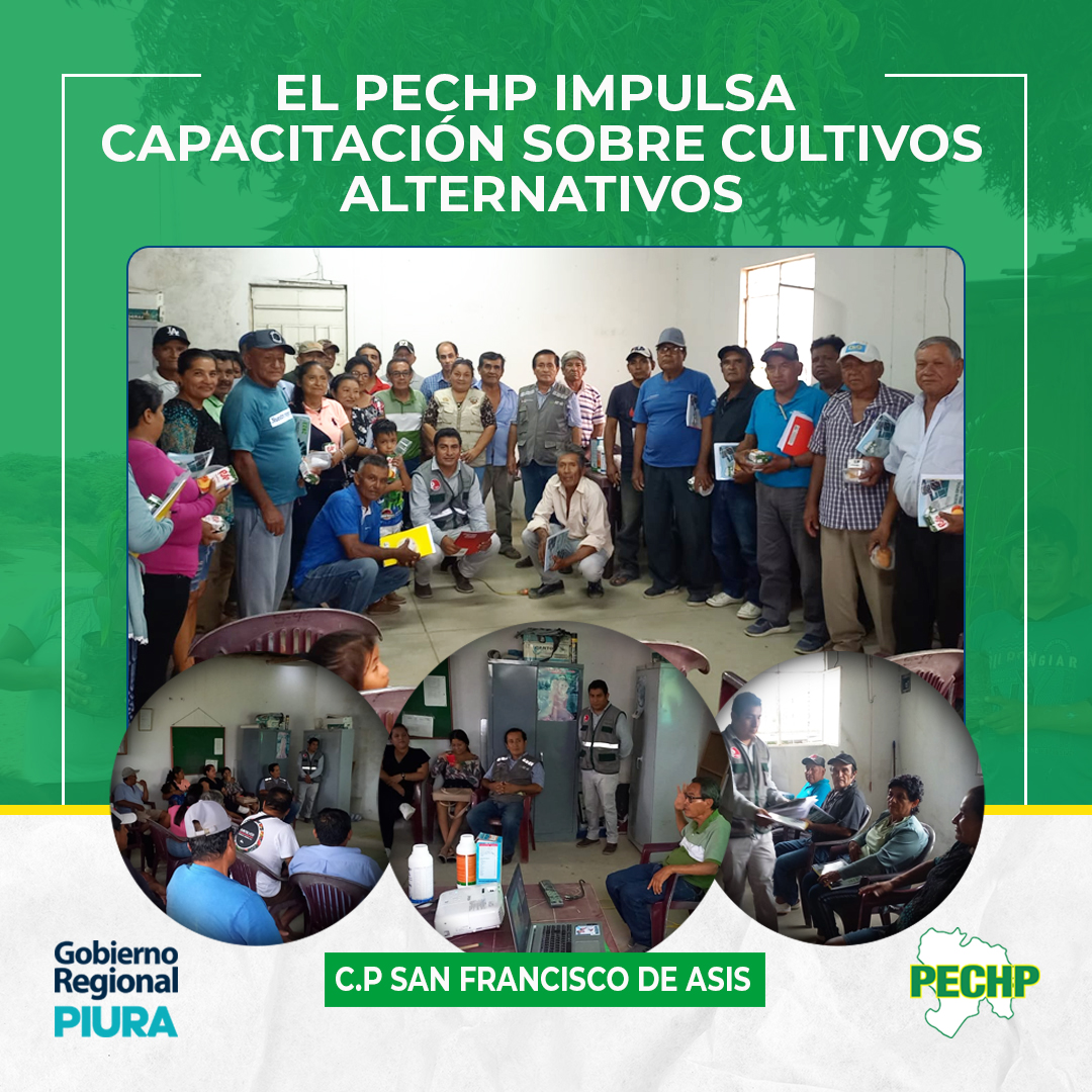 capacitacion