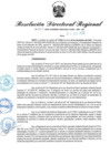 Vista preliminar de documento RDR-452-2023
