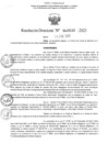 Vista preliminar de documento RD Nº000030 