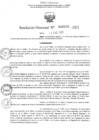Vista preliminar de documento RD Nº000031 