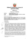 Vista preliminar de documento Resolución N° 010308002020