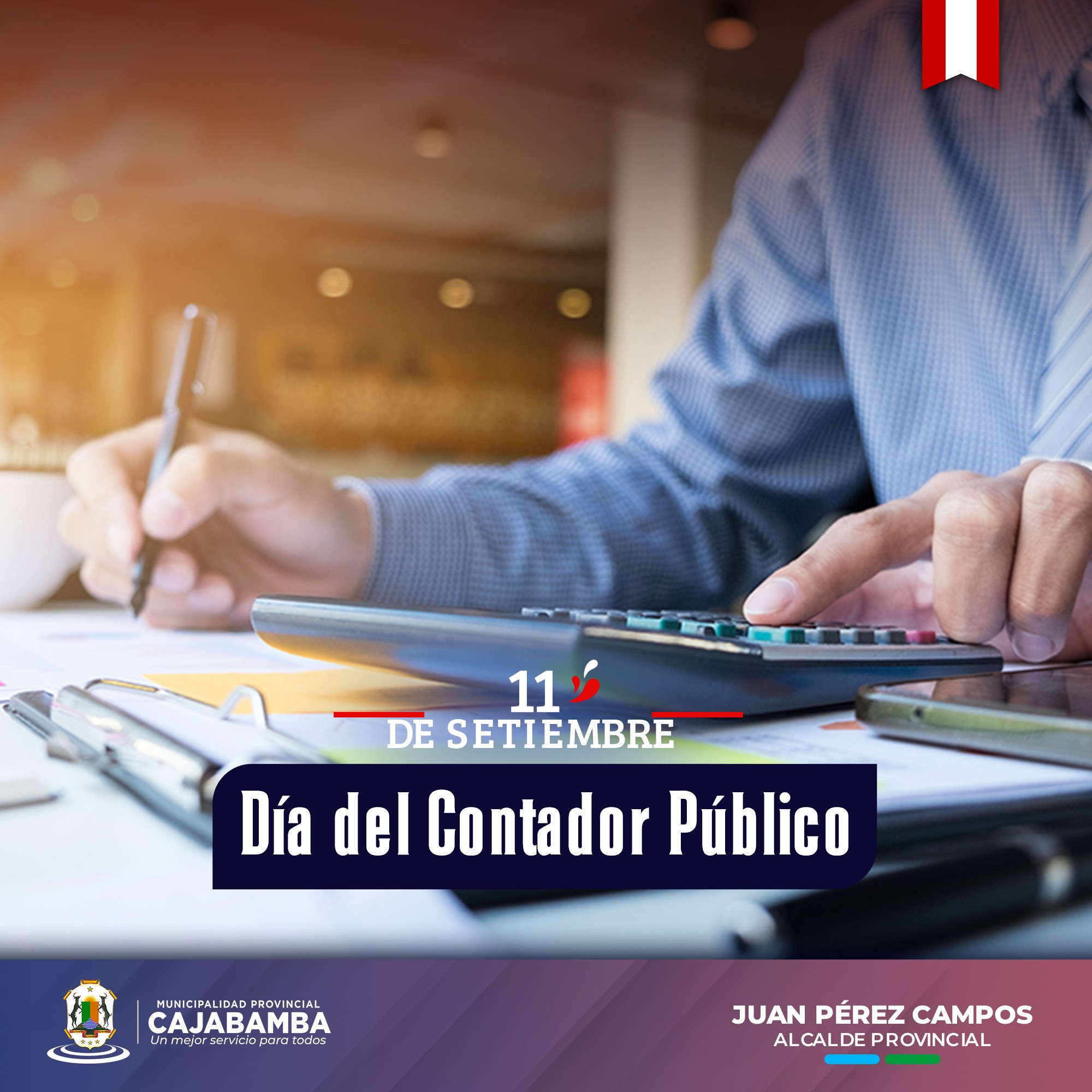 Dia del Contador Público