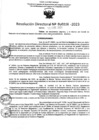 Vista preliminar de documento RD Nº000036