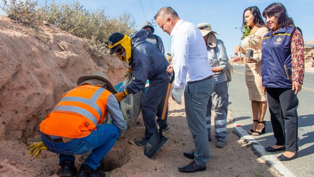 Alcalde Renzo Salas y regidores participaron en jornada de reforestación.