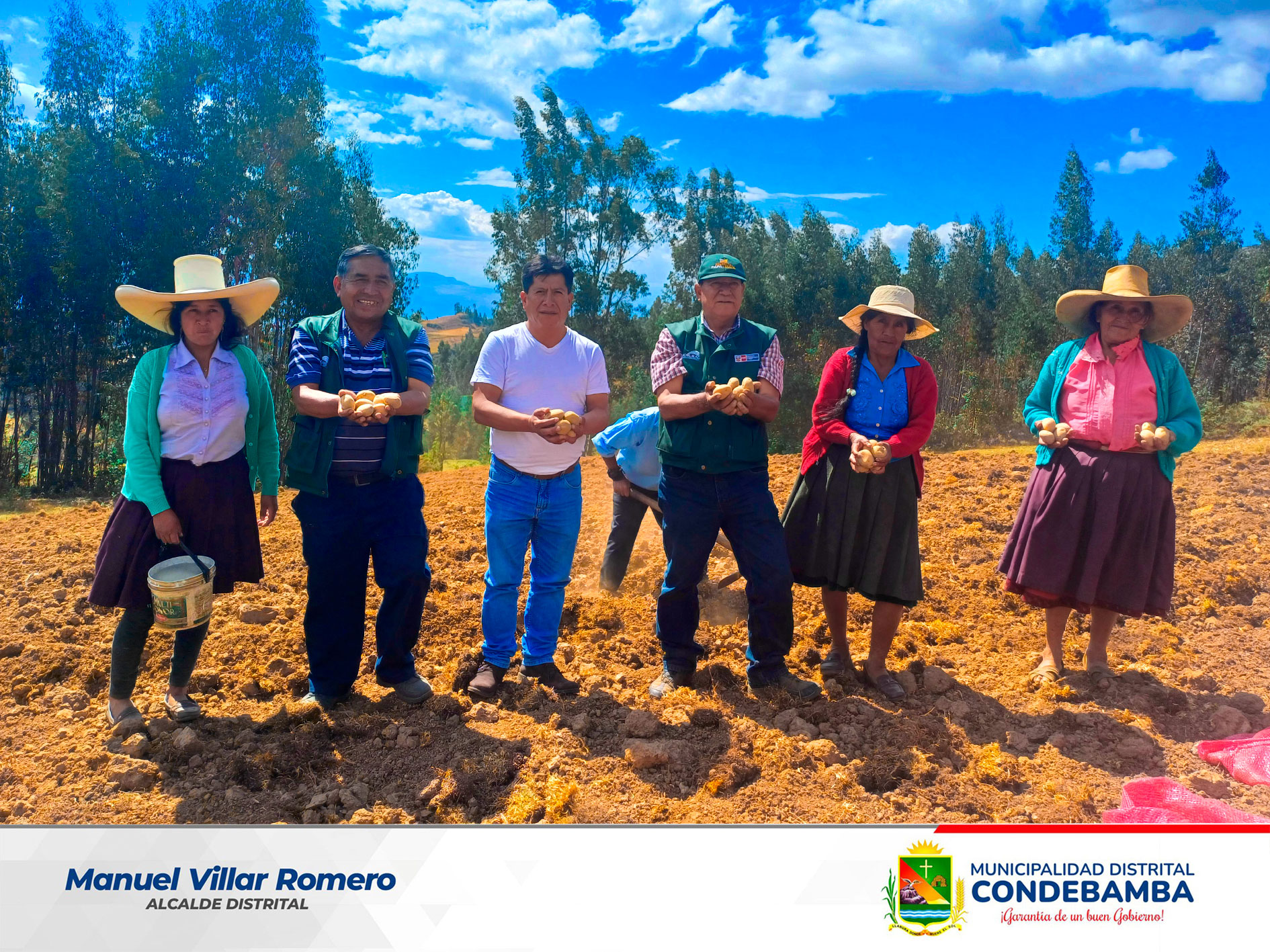 En un trabajo articulado Agro Rural, la Municipalidad Distrital de Condebamba y la Asociaci贸n Agropecuaria 3 Esquinas, de la comunidad de Tangalbamba, instalaron una parcela demostrativa de papa de variedad amarilis, con la finalidad de trabajar un semillero de este tub茅rculo.
Con esta parcela, se busca multiplicar y generar semillas de alto valor gen茅tico que permitan mejorar el rendimiento productivo por hect谩rea, as铆 como desarrollar t茅cnicas de manejo agron贸mico y fortalecer la fertilidad del suelo.
El trabajo de instalaci贸n se desarroll贸 con el apoyo, con los t茅cnicos de Agro Rural, el alcalde del distrito Manuel Villar Romero y los integrantes de la asociaci贸n.