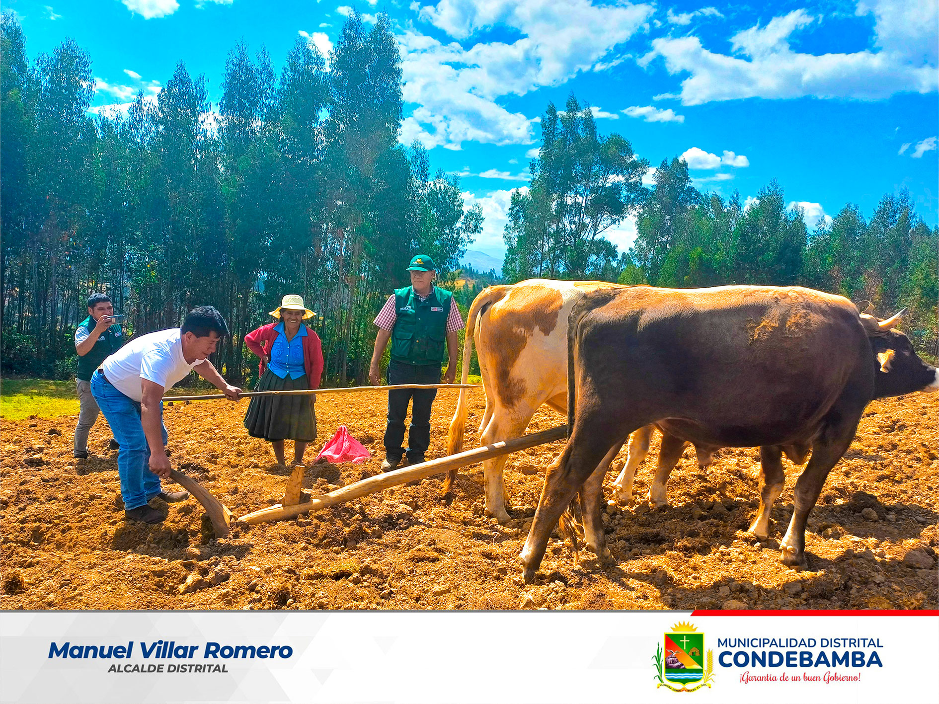 En un trabajo articulado Agro Rural, la Municipalidad Distrital de Condebamba y la Asociaci贸n Agropecuaria 3 Esquinas, de la comunidad de Tangalbamba, instalaron una parcela demostrativa de papa de variedad amarilis, con la finalidad de trabajar un semillero de este tub茅rculo.
Con esta parcela, se busca multiplicar y generar semillas de alto valor gen茅tico que permitan mejorar el rendimiento productivo por hect谩rea, as铆 como desarrollar t茅cnicas de manejo agron贸mico y fortalecer la fertilidad del suelo.
El trabajo de instalaci贸n se desarroll贸 con el apoyo, con los t茅cnicos de Agro Rural, el alcalde del distrito Manuel Villar Romero y los integrantes de la asociaci贸n.
