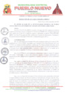 Vista preliminar de documento R.A-N-245-2023-MDPN-F