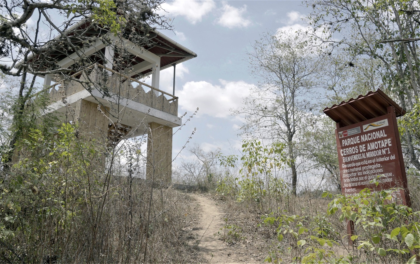 Tumbes: Periodistas fueron capacitados sobre conservación en el Parque Nacional Cerros de Amotape