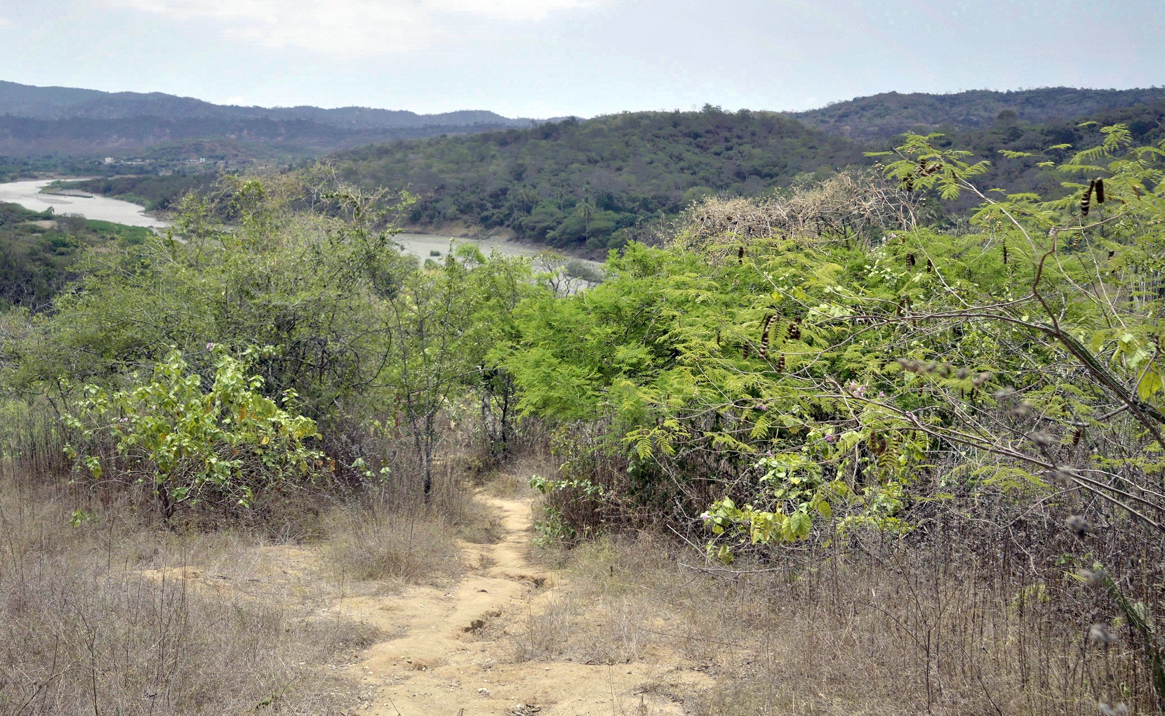 Tumbes: Periodistas fueron capacitados sobre conservación en el Parque Nacional Cerros de Amotape