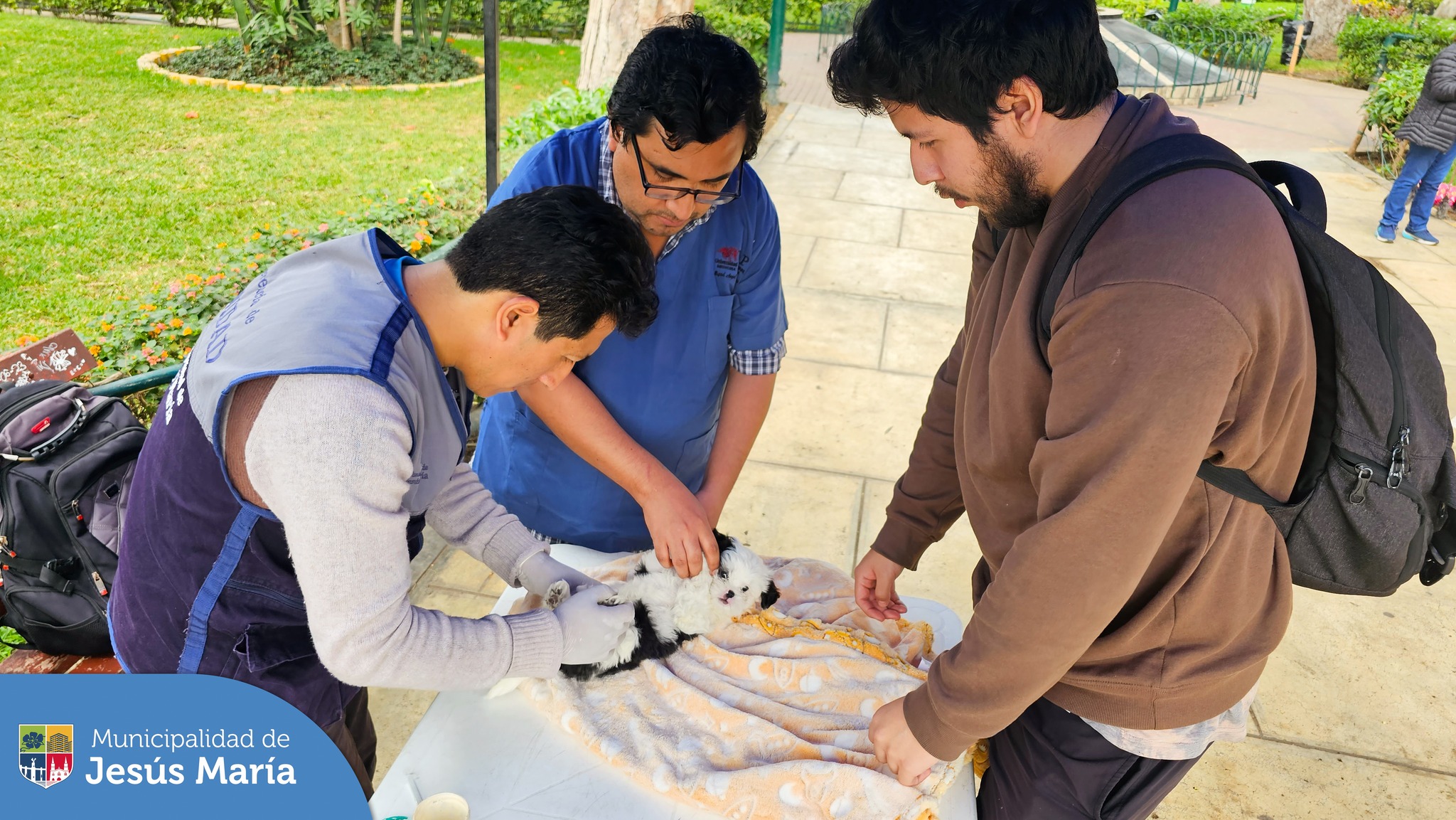 🐕 Se realizó una nueva campaña veterinaria #gratuita 🐱 en el Parque Bolivariano. Nuestras mascotitas recibieron el servicio de 🩺 consulta veterinaria, 🐩 desparasitación y 🧾 registro municipal.
🐶 Para más información ingresa a: https://bit.ly/3pD066y
#JesúsMaríaSomosTodos