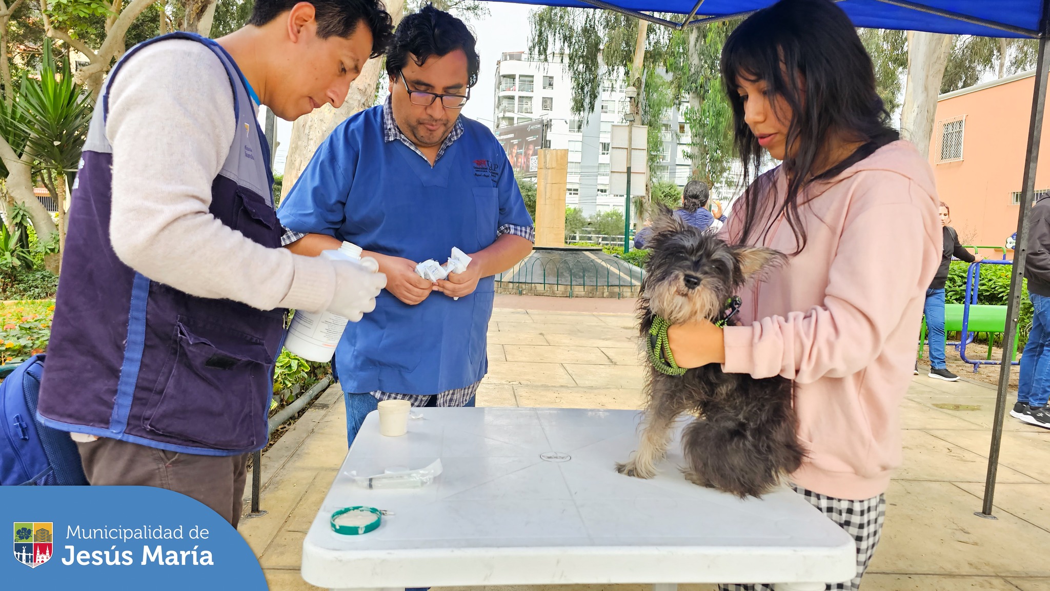 🐕 Se realizó una nueva campaña veterinaria #gratuita 🐱 en el Parque Bolivariano. Nuestras mascotitas recibieron el servicio de 🩺 consulta veterinaria, 🐩 desparasitación y 🧾 registro municipal.
🐶 Para más información ingresa a: https://bit.ly/3pD066y
#JesúsMaríaSomosTodos