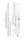 Vista preliminar de documento Acta de Vialidad, trans, comun y comunicaciones. PP 2024 - 18/05/2023