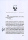 Vista preliminar de documento RGG Nº 007-2020-GG