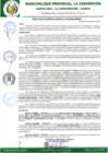 Vista preliminar de documento RGM-490-2023-GM-MPLC
