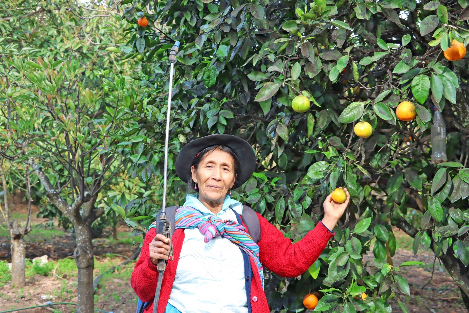 Convenios de cooperación interinstitucional con los gobiernos locales de Quinua en Huamanga, y Luricocha y Santillana en Huanta.