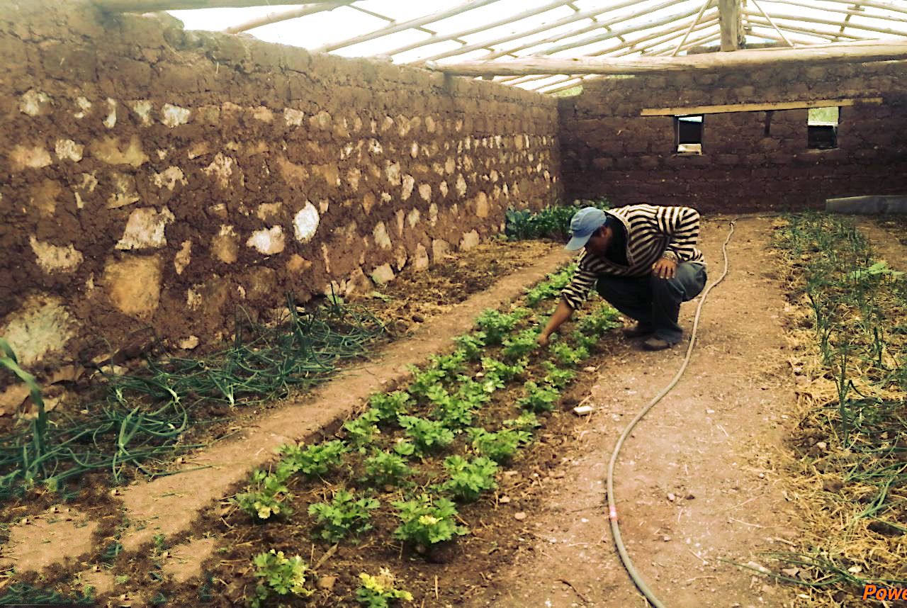 El proyecto Agricultura Familiar continúa asistiendo a las familias de las provincias de Huamanga, Huanta y La Mar