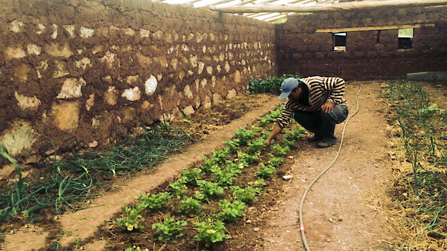El proyecto Agricultura Familiar continúa asistiendo a las familias de las provincias de Huamanga, Huanta y La Mar