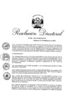 Vista preliminar de documento RD 296-2023-INPE-ORCHYO