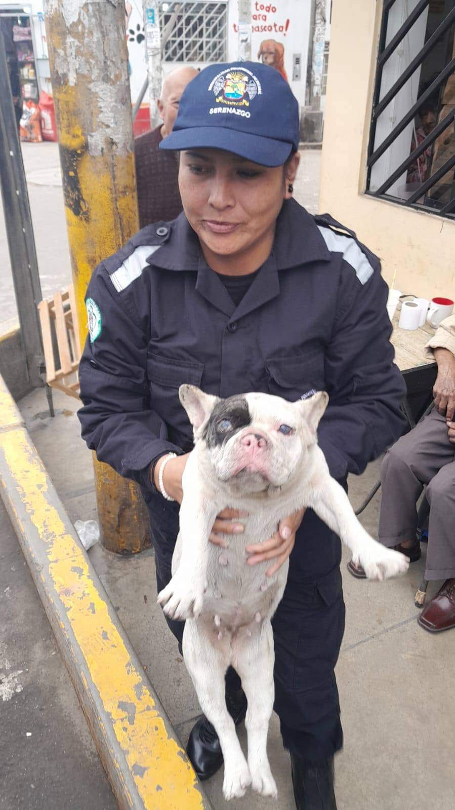 Efectivos de serenazgo rescatan y entregan a cachorrita extraviada