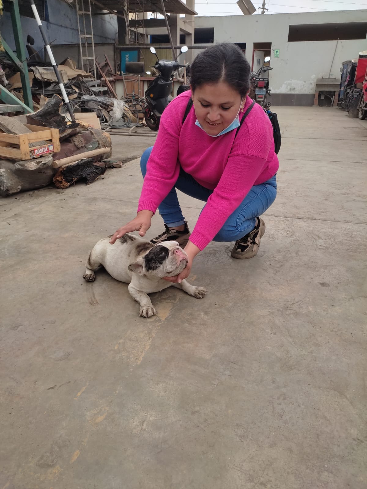 Efectivos de serenazgo rescatan y entregan a cachorrita extraviada
