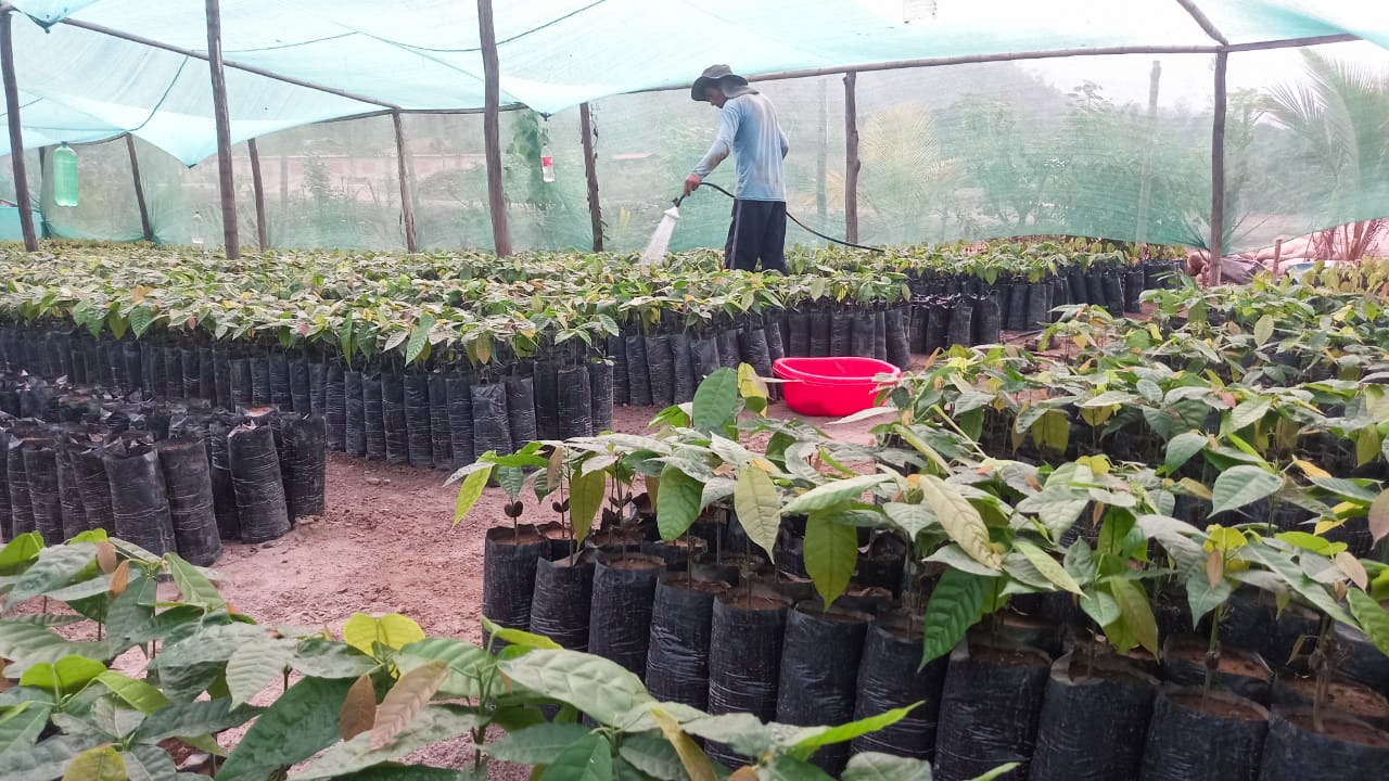 Impulsa la Agricultura Sostenible en el VRAEM