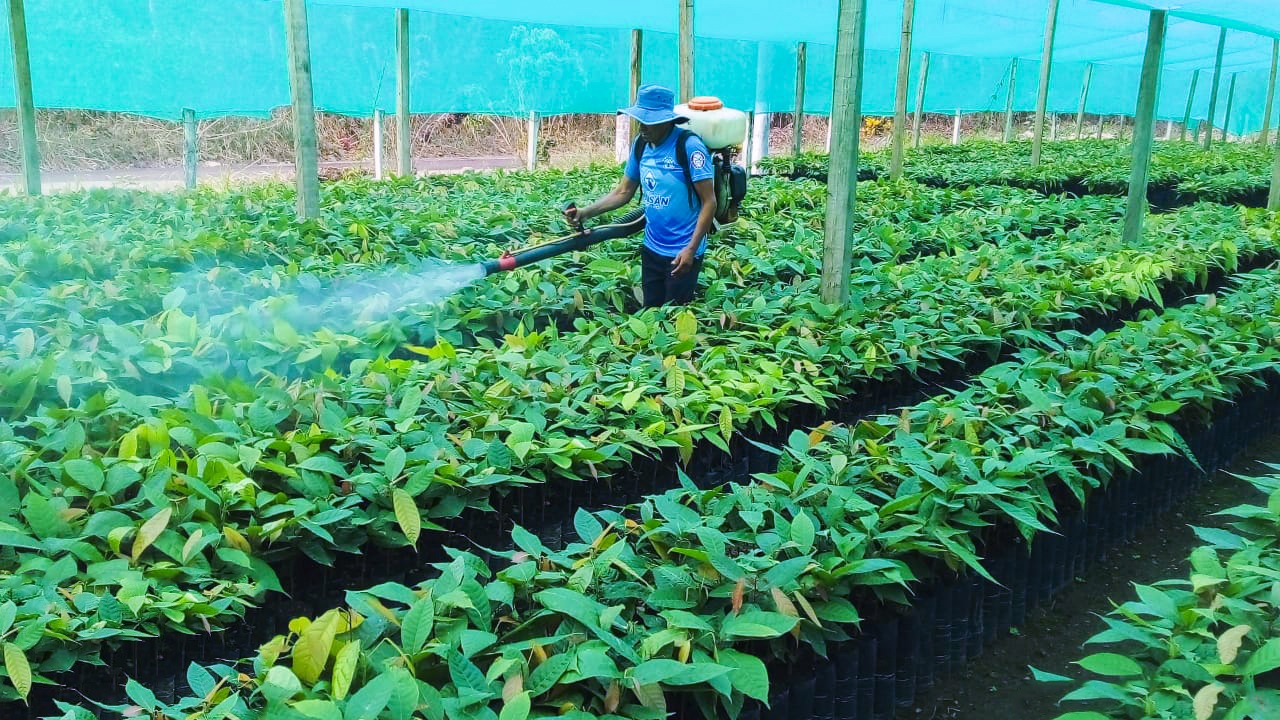 Impulsa la Agricultura Sostenible en el VRAEM