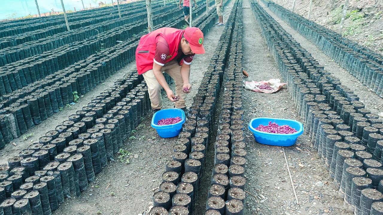 Impulsa la Agricultura Sostenible en el VRAEM