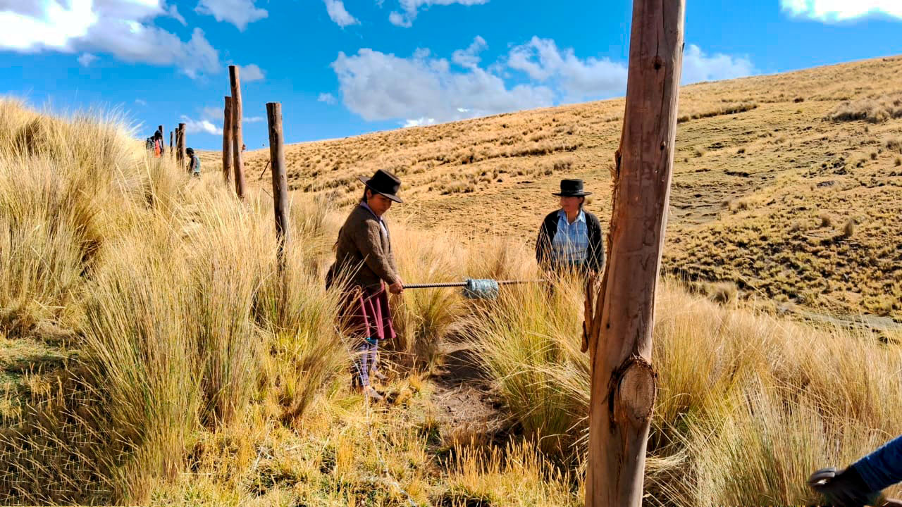 Proyecto de Regulación Hídrica fortalece la protección de cultivos de qenhua y pino