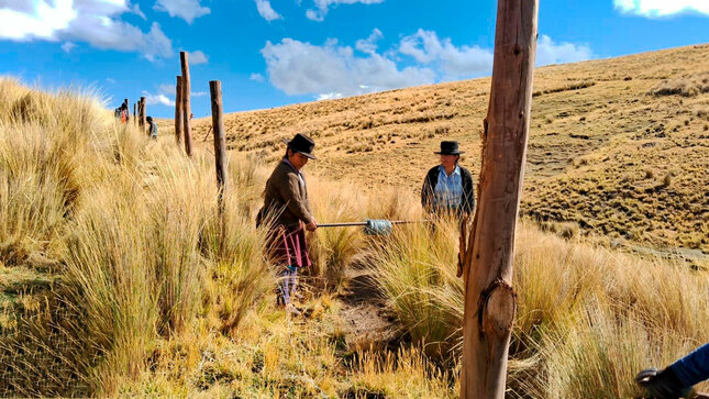 Proyecto de Regulación Hídrica fortalece la protección de cultivos de qenhua y pino