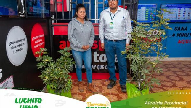 arbol